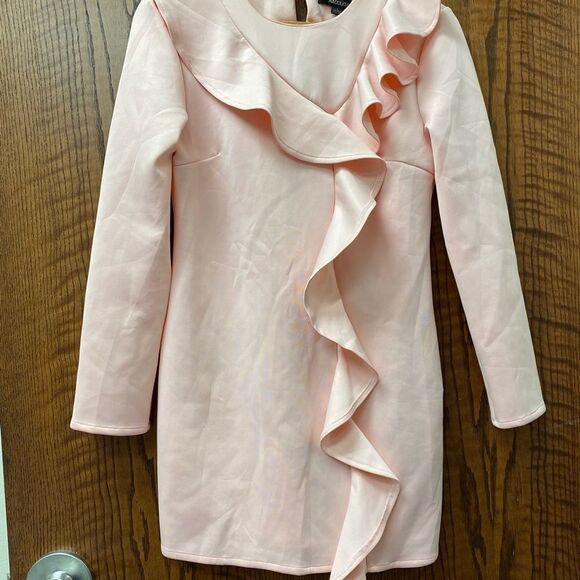 HAODUOYI pale pink ruffle front long‎ sleeve sheath dress - Picture 7 of 7